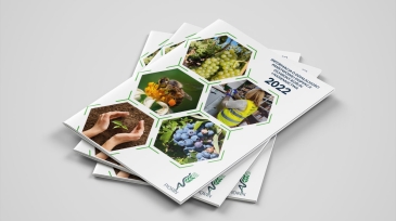 folder_biznes_studiogif