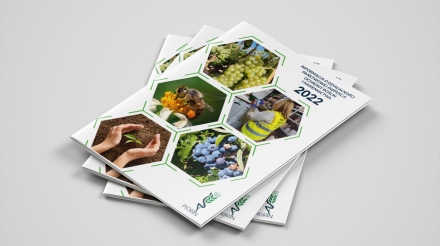 folder_biznes_studiogif